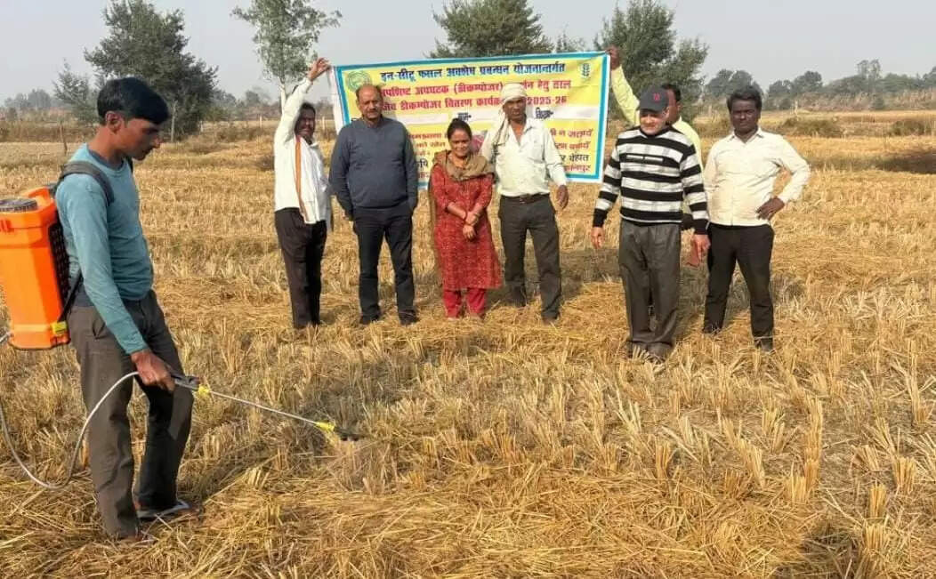 डीकम्पोजर से बनाये पुआल खाद, मिट्टी की गुणवत्ता नहीं होती प्रभावित : मृदा वैज्ञानिक