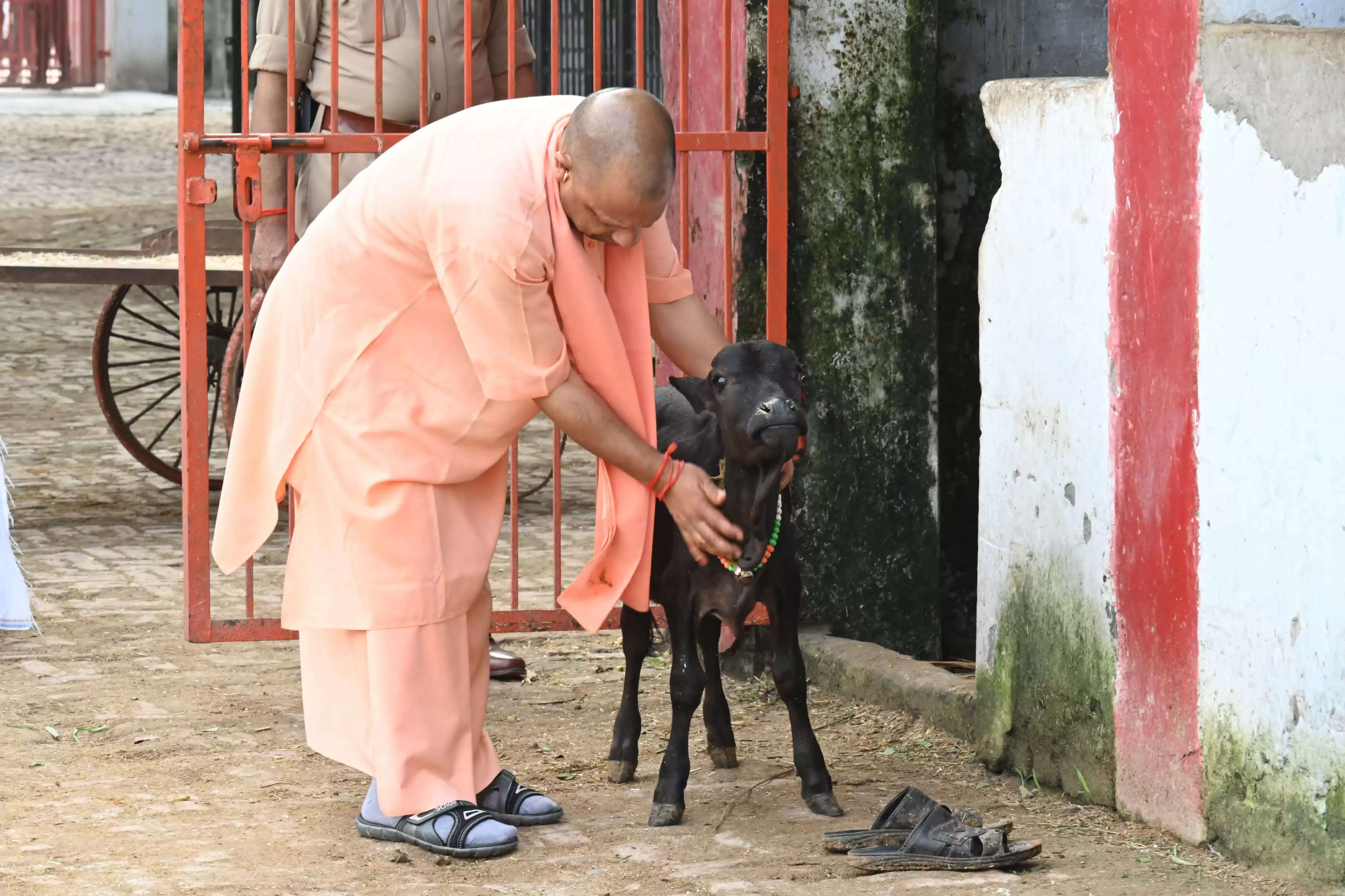 हॉस्पिटल में भर्ती कराकर इस्टीमेट मंगाइए, इलाज का खर्च सरकार देगी : मुख्यमंत्री याेगी