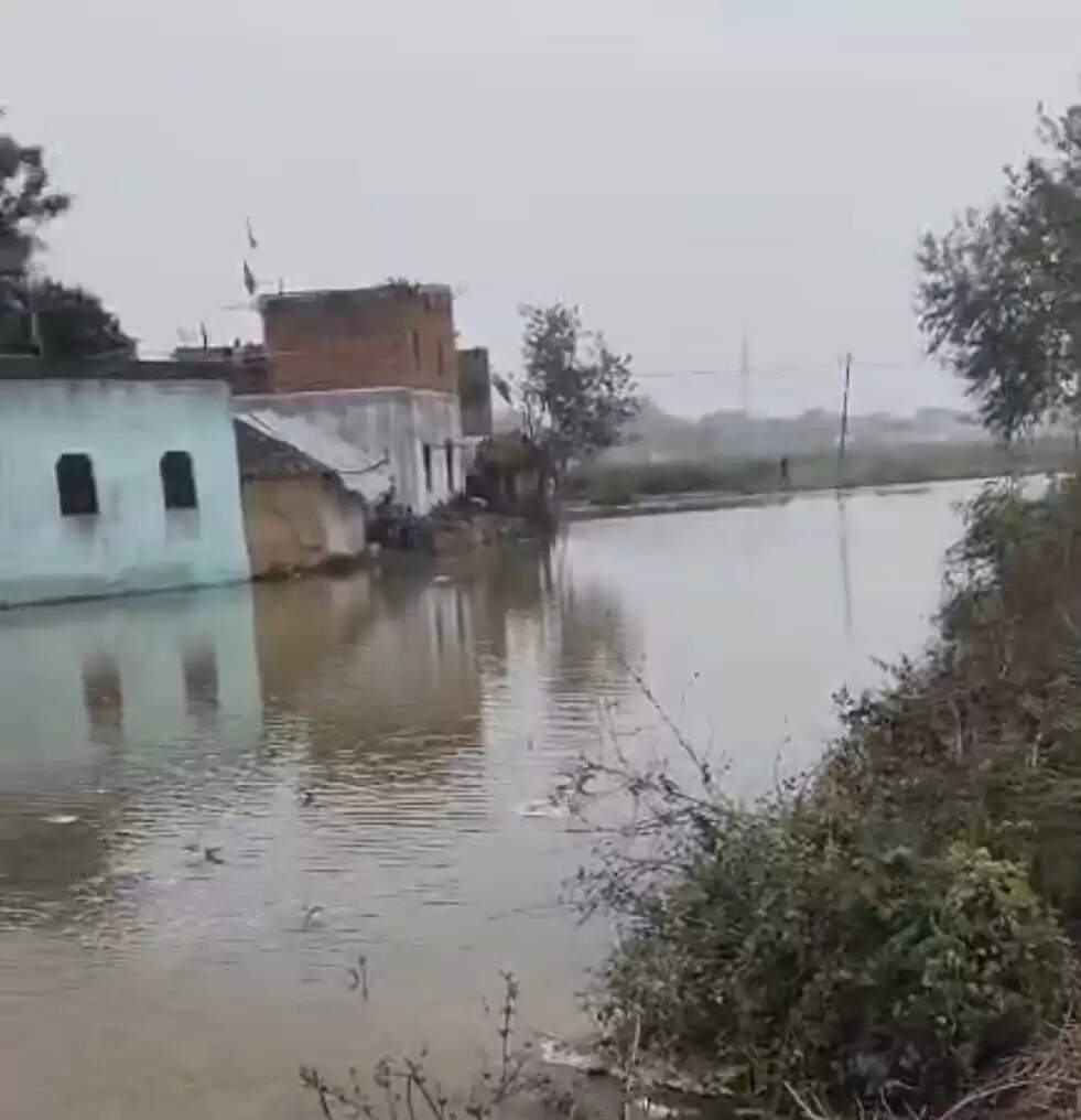 नहर का तटबंध टूटने से सैकड़ों बीघा फसल जलमग्न, गांव में घरों तक घुसा पानी