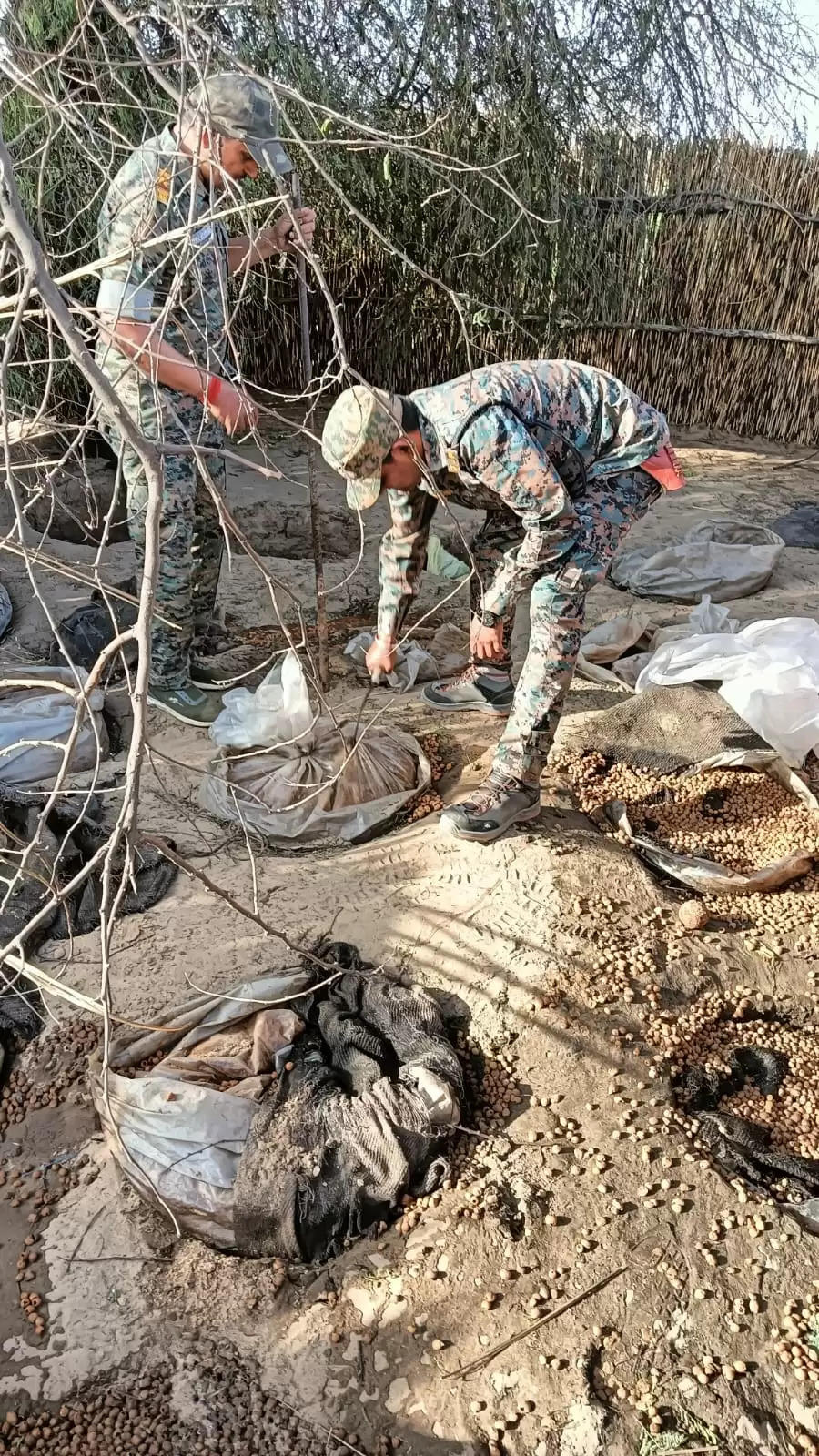 झारखंड-बिहार पुलिस की संयुक्त कार्रवाई में 50 हजार किग्रा जावा महुआ, 100 लीटर निर्मित महुआ शराब नष्ट