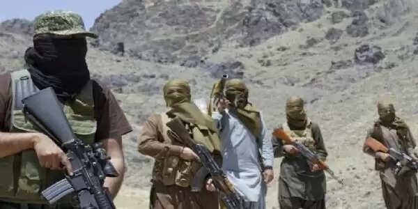 'बलोचिस्तान में पाकिस्तान की सेना के काफिले पर हमला कर छह जवान मारे'- बीएलएफ का दावा