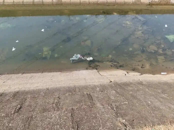 जांजगीर चांपा : नहर में नवजात का शव मिलने से मचा हड़कंप, पुलिस जांच में जुटी