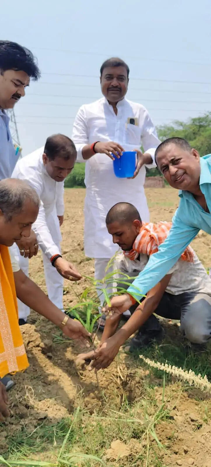 विश्व पर्यावरण दिवस पर भाजपा कार्यकर्ताओं ने चलाया ‘एक पेड़ मां के नाम’ अभियान
