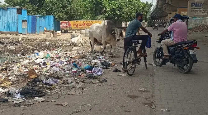 कैथल: सफाई कर्मचारियों की हड़ताल से नगर परिषद का कामकाज ठप, सड़कों पर पसरी गंदगी