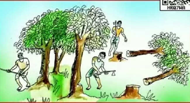 वूमन फॉर ट्री” अभियानः महिला स्वसहायता समूहों को भ्रमण किट 23 मई तक वितरित करने के निर्देश