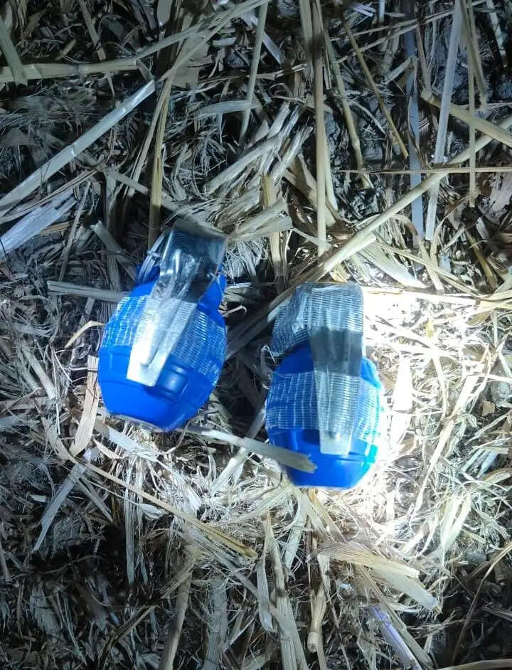 भारत-पाक सीमा पर बीएसएफ ने जब्त किए हैंड ग्रेनेड व हथियार