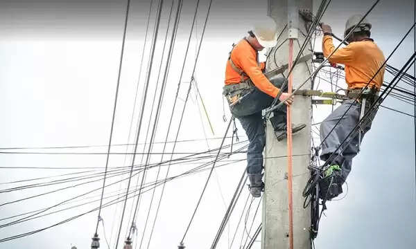 एमपी ट्रांसको में विभिन्न पदों पर चयनित अभ्यर्थियों के दस्तावेज सत्यापन 1 जुलाई से