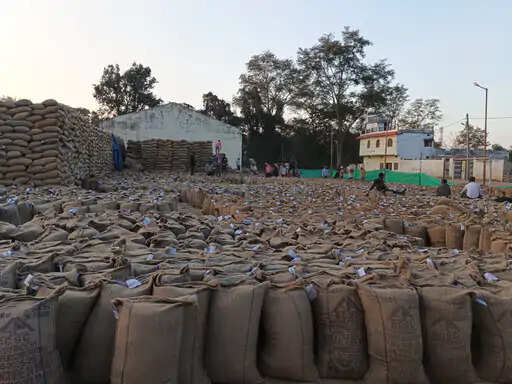 अनूपपुर: धान परिवहन धीमा: 3.81 लाख क्विंटल से अधिक धान खुले में