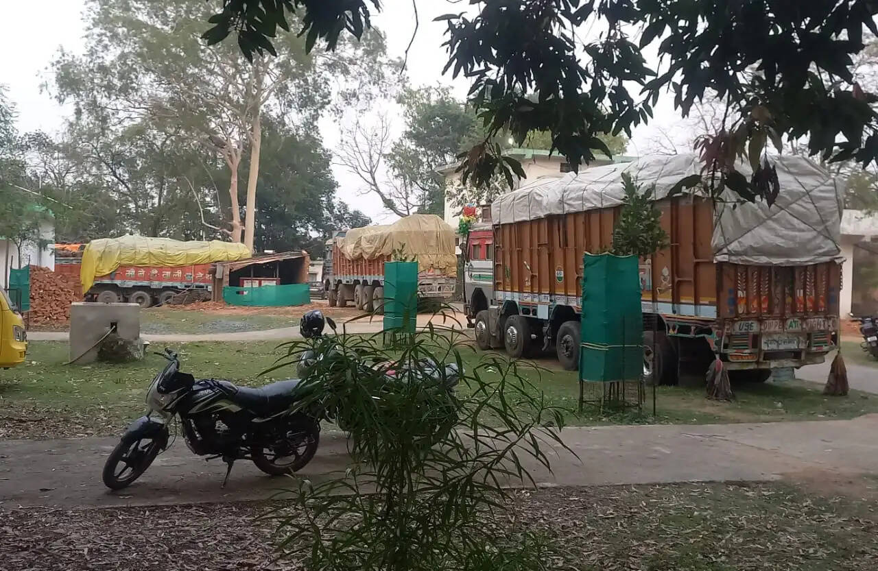 अंबिकापुर : फल-फूल रहा तस्करी का खेल, सरगुजा में बेखौफ लकड़ी तस्कर