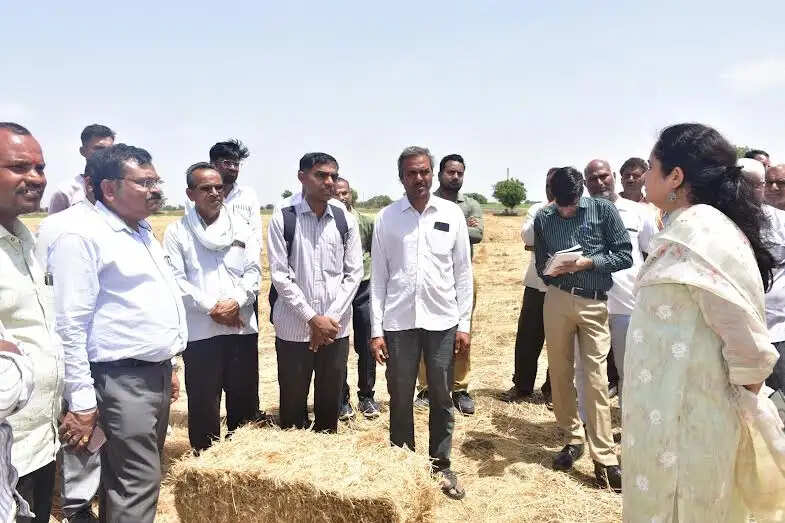 अलसी के डंठलों से रेशा निर्माण की दिशा में पहल, कलेक्टर ने किया निरीक्षण