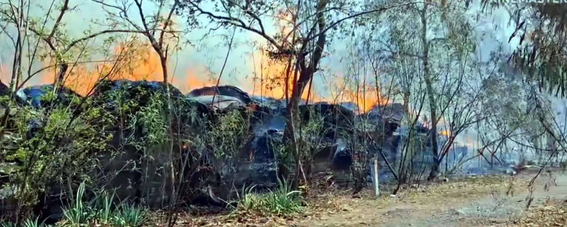 टोहाना में बन्द पड़ी प्लाईवुड फैक्टरी में लगी भीषण आग 20 एकड़ में फैली