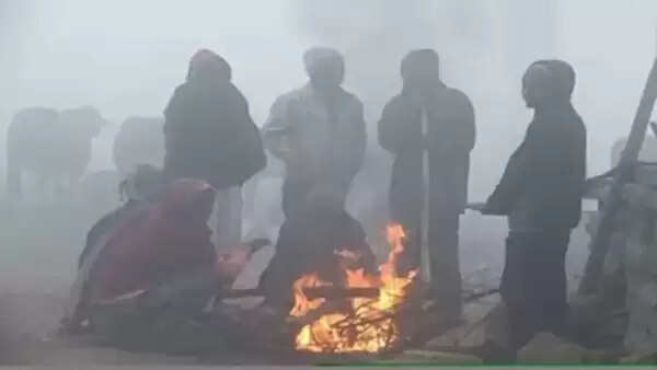 मध्‍य प्रदेश में पड़ रही कड़ाके की सर्दी, अगले दो दिन कोहरा और कोल्ड डे का अलर्ट