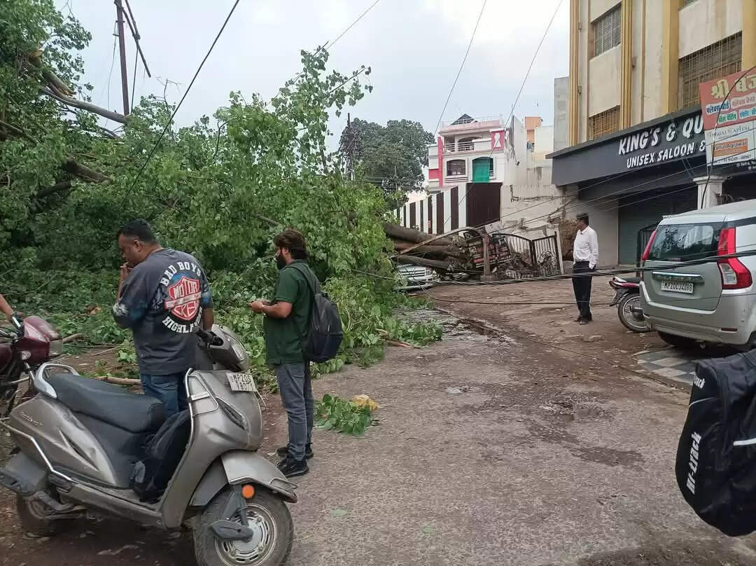 जबलपुर : अचानक बिगड़ा मौसम, तेज अंधड़ के साथ बारिश में पेड़ गिरे
