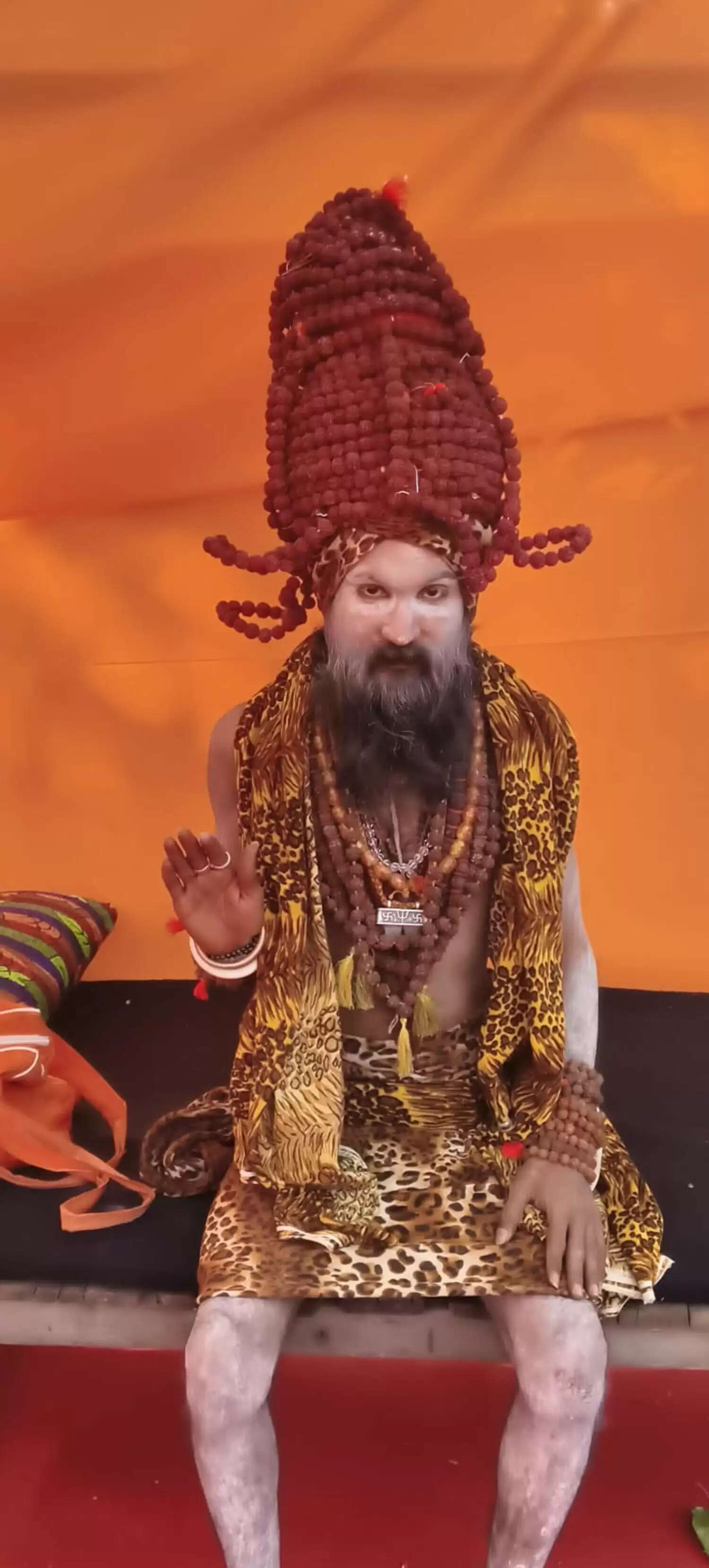 राजिम कुंभ कल्प मेला 2026 &nbsp;:&nbsp;&nbsp;सिर पर 1100 रुद्राक्ष धारण कर तपस्या में लीन महंत नीलगिरी महाराज, बने श्रद्धा का केंद्र