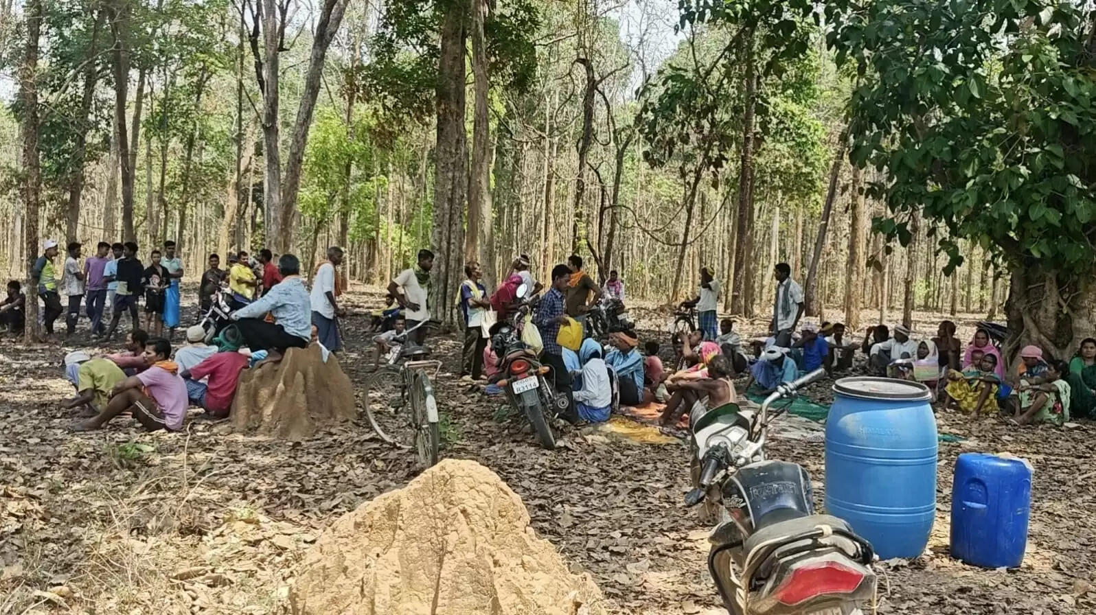 जंगल में अतिक्रमण, 50 से अधिक झोपड़ियों पर चला बुलडोजर