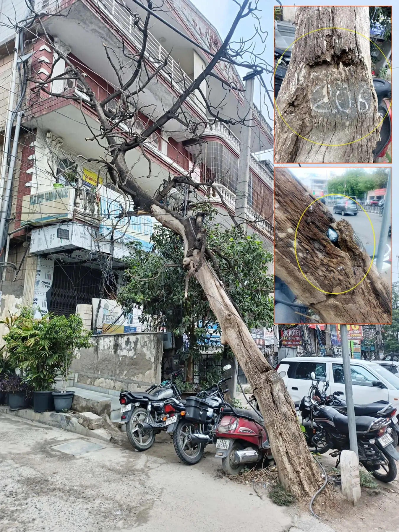 गुरुग्राम: सिविल लाइन में हादसों का न्यौता दे रहा सूखा पेड़ बना खतरा, हटाने में कोताही