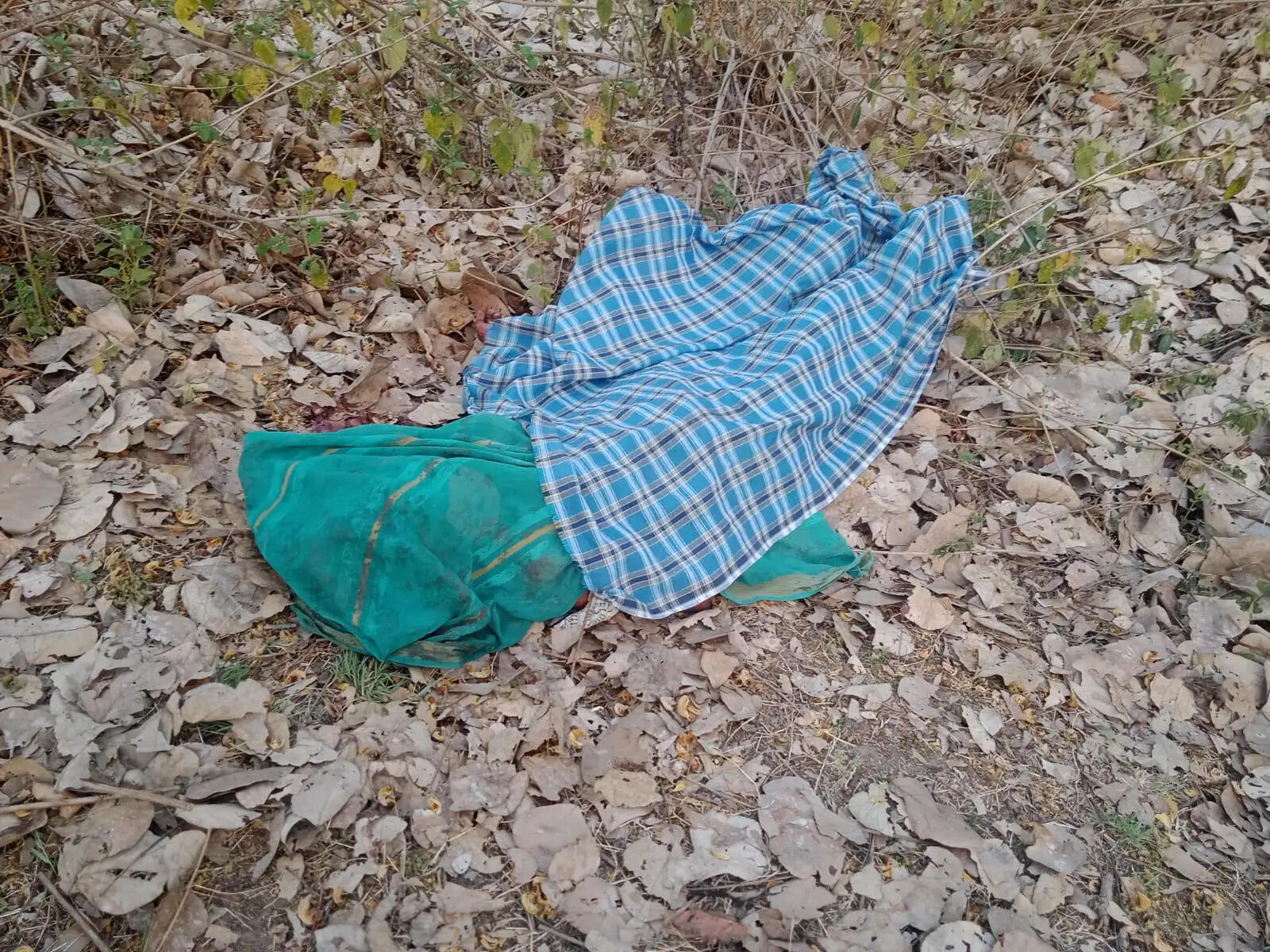 अनूपपुर: भोलगढ के जंगल में जंगली हाथी ने महिला की उतारा मौत के घाट, पति, पुत्र घायल