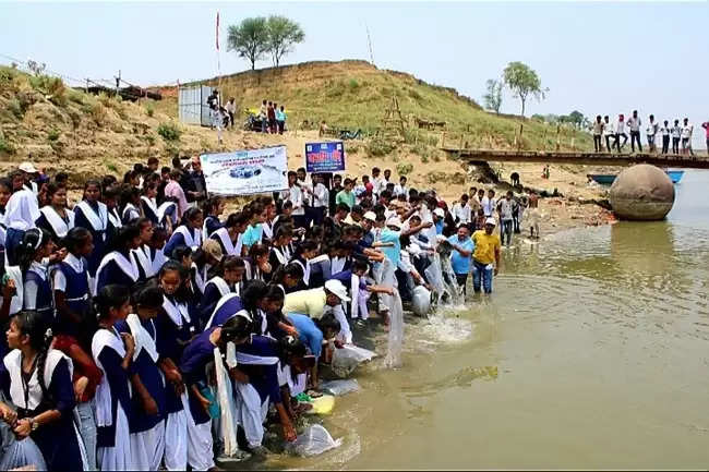 मत्स्य संरक्षण के लिए सिफरी ने सिरसा के गंगा नदी में मछलियों को छोड़ा