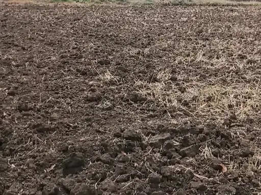 अनूपपुर: मानसून की देरी से किसान परेशान, दोपहर हुई बारिश ने भिगाेया जिले को
