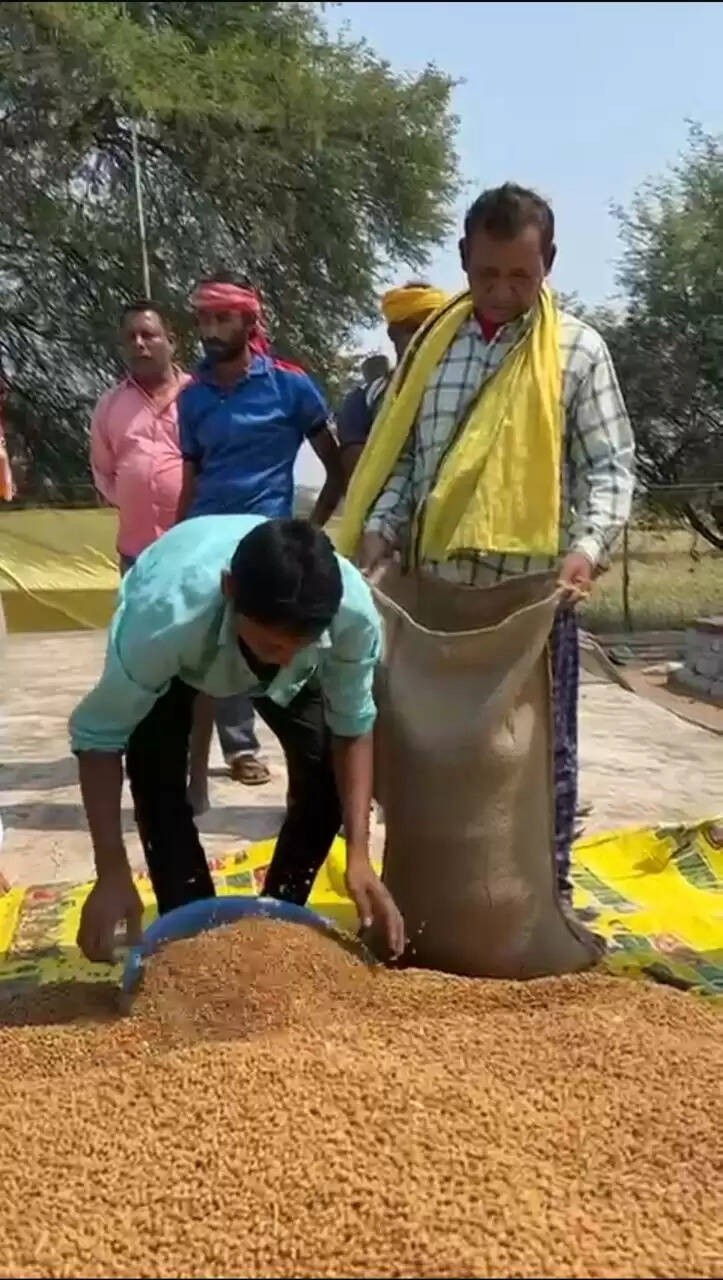 समर्थन मूल्य पर शुरू हुई चना खरीद, तरसीवां समिति में खरीदा गया लगभग 10 क्विंटल चना