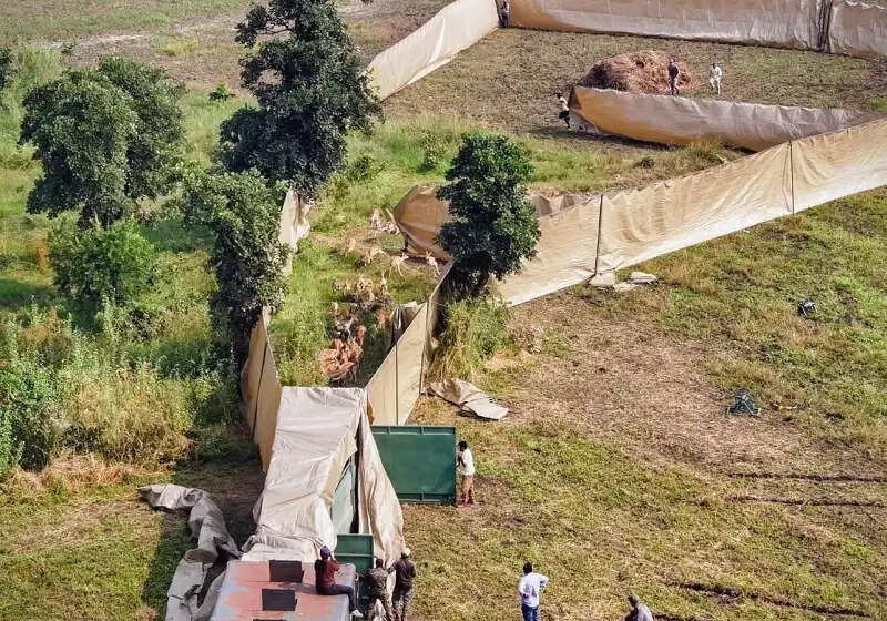 मप्र में किसानों की फसल बचाने के लिए दक्षिण अफ्रीकी विशेषज्ञों की मदद से हुआ अभिनव प्रयोग