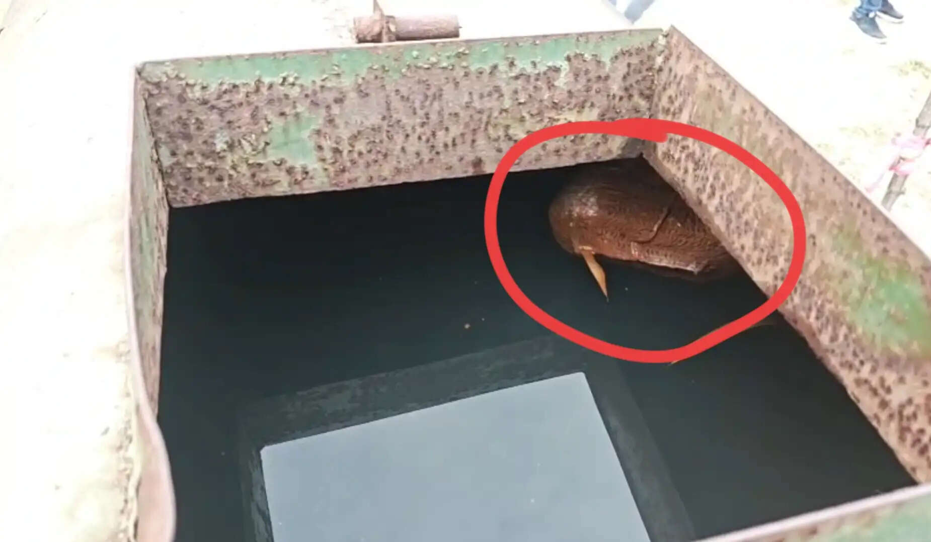 सरहुल मिलन समाराेह में शरबत बनाने वाले पानी में मिला गंदगी