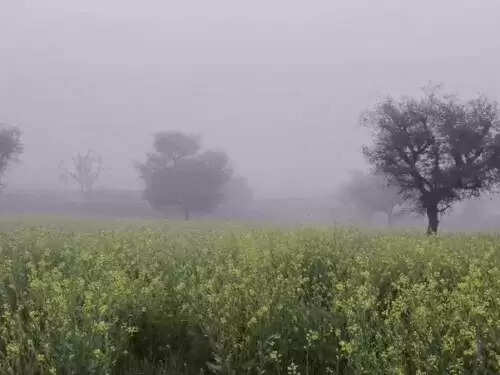 राजस्थान में घना कोहरा और कड़ाके की सर्दी, कोटा-झालावाड़ हाईवे पर बस पलटी, 30 से ज्यादा घायल