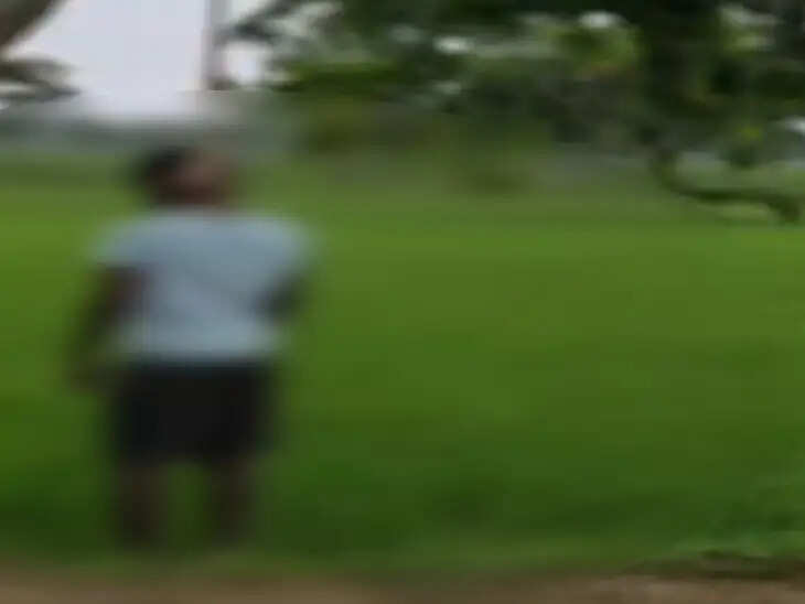 जांजगीर-चांपा में 21 वर्षीय युवक का पेड़ से लटका मिला शव, जांच में जुटी पुलिस