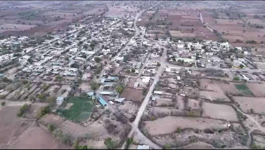 एक हजार पौधे प्रति वर्ष लगाए, जीवित रहे इसका किया पुख्ता इंतजाम