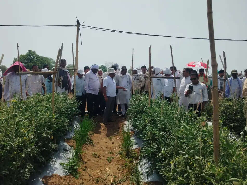 आधुनिक खेती की नई तकनीकों ने किसानों को किया प्रेरित