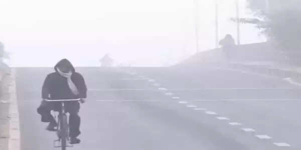 राजस्थान में घना कोहरा और शीतलहर: 20 जिलों में 8वीं तक स्कूल बंद