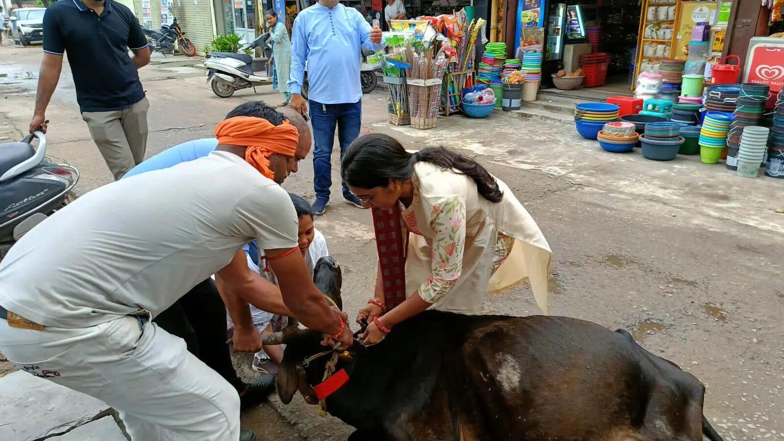 कोरबा में आवारा मवेशियों के खिलाफ अभियान तेज