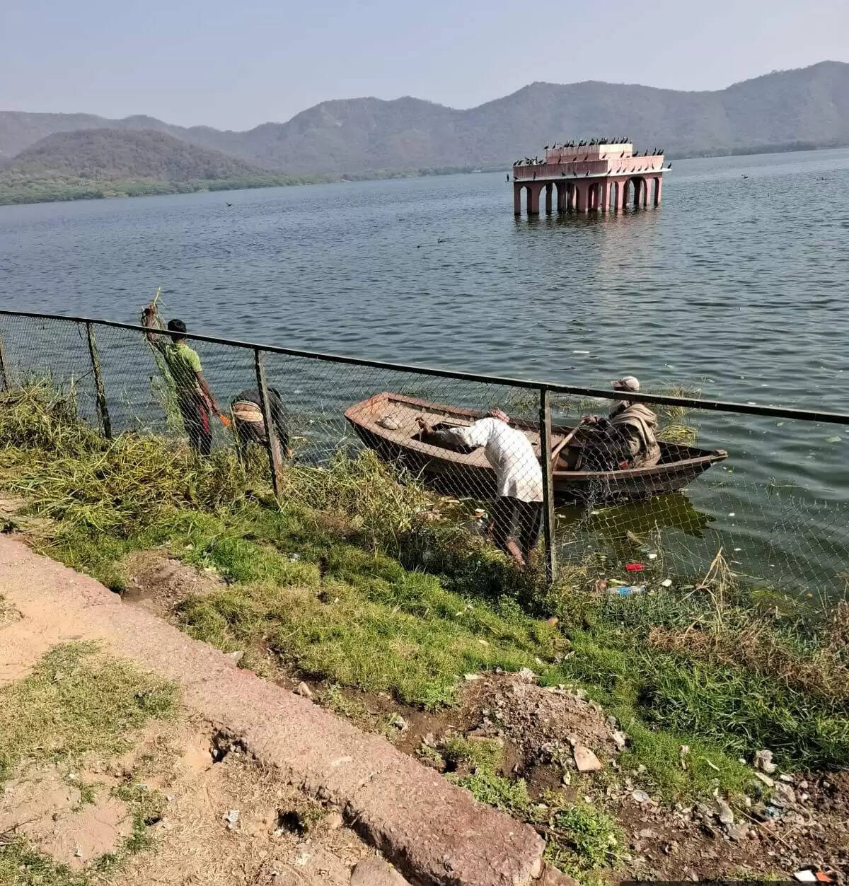 जल महल की पाल पर वृहद सफाई अभियान तेज