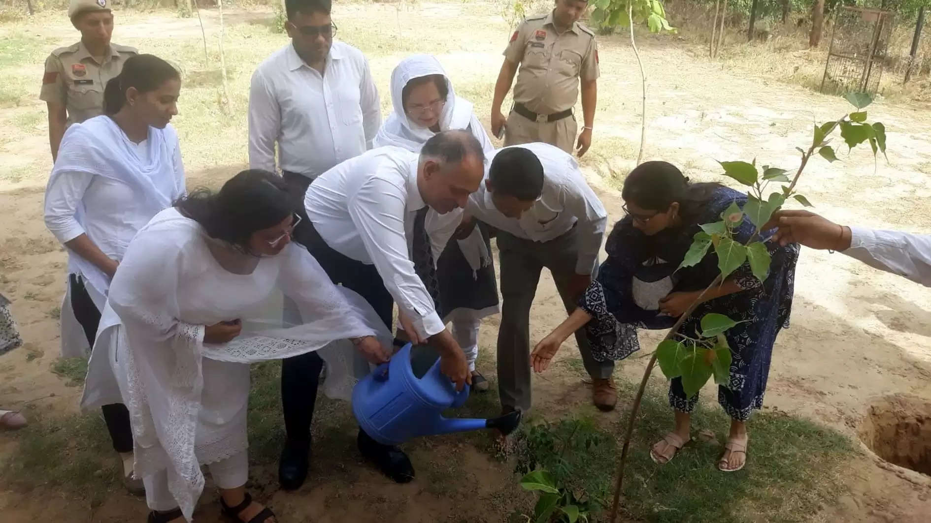 फतेहाबाद: विश्व पर्यावरण दिवस पर सेशन जज ने एडीआर सेंटर में किया पौधारोपण