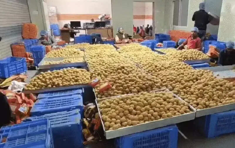 मप्र के उज्जैन में अब हाईटेक मशीन से बनेगा महाकाल मंदिर का प्रसिद्ध लड्डू, 40 करोड़ का टेंडर जारी