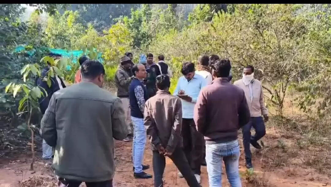 सूरजपुर : घुई रेंज में बाघ की मौत, &nbsp;दांत&nbsp;और&nbsp;नाखून गायब