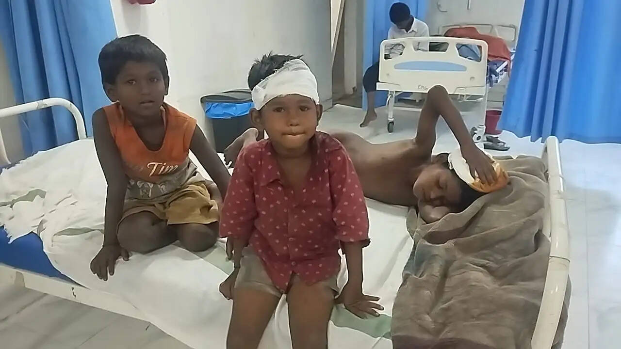सीवान में बंदरों को आम खिलाना पड़ा भारी, नई दीवार गिरी; तीन सगे भाई-बहन गंभीर घायल