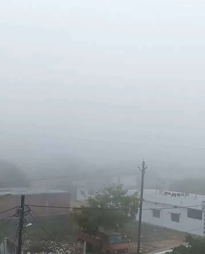 अनूपपुर: बदला मौसम का मिजाज, कोहरे और सर्द हवाओं ने बढ़ाई परेशानी
