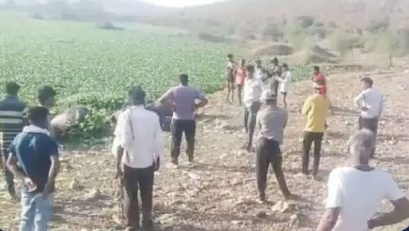 सागर : कड़ान सतगढ़ बांध में डूबने से 7 भैंसों की मौत, सिंघाड़े के जाल में फंसने की आशंका