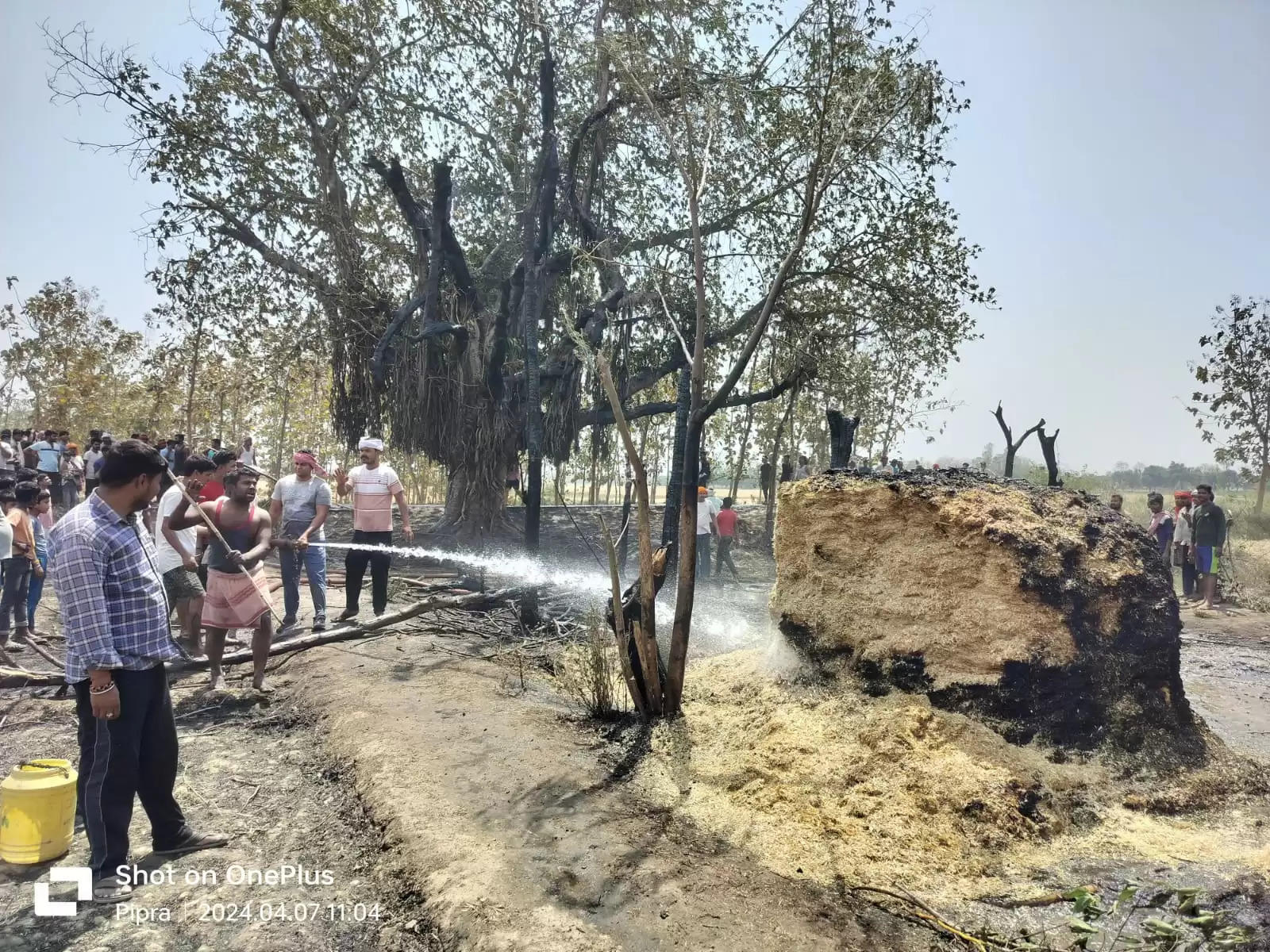 हाईटेंशन तार से निकली चिंगारी के चलते छह बीघे की फसल जलकर राख