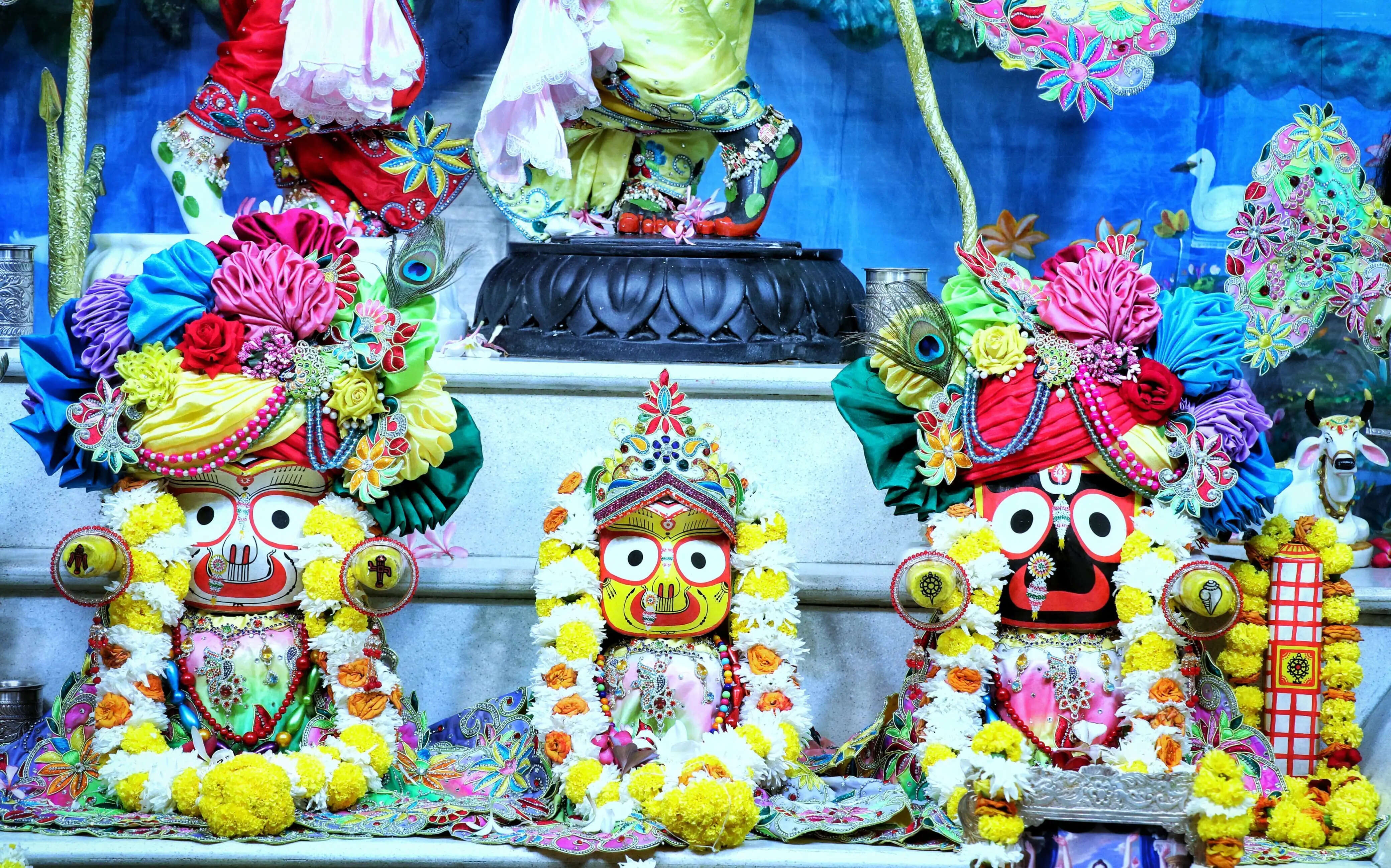 500 साल पुरानी परंपरा निभी: मौसी के घर की धुलाई कर श्रद्धालुओं ने किया भगवान जगन्नाथ का स्वागत