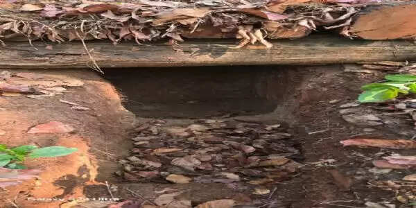 सुरक्षा बलों ने पांच नक्सली बंकर ध्वस्त किए