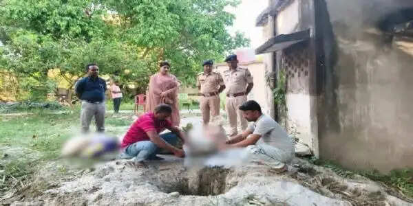 कुनौली थाना में 560 लीटर शराब का विधिवत विनष्टीकरण