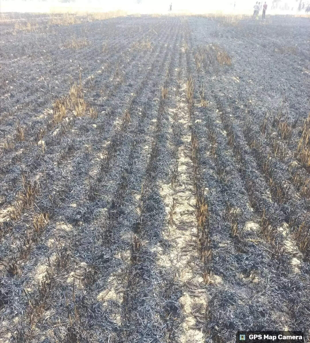 जींद:गेहूं के खेत में कंबाइन से लगी आग