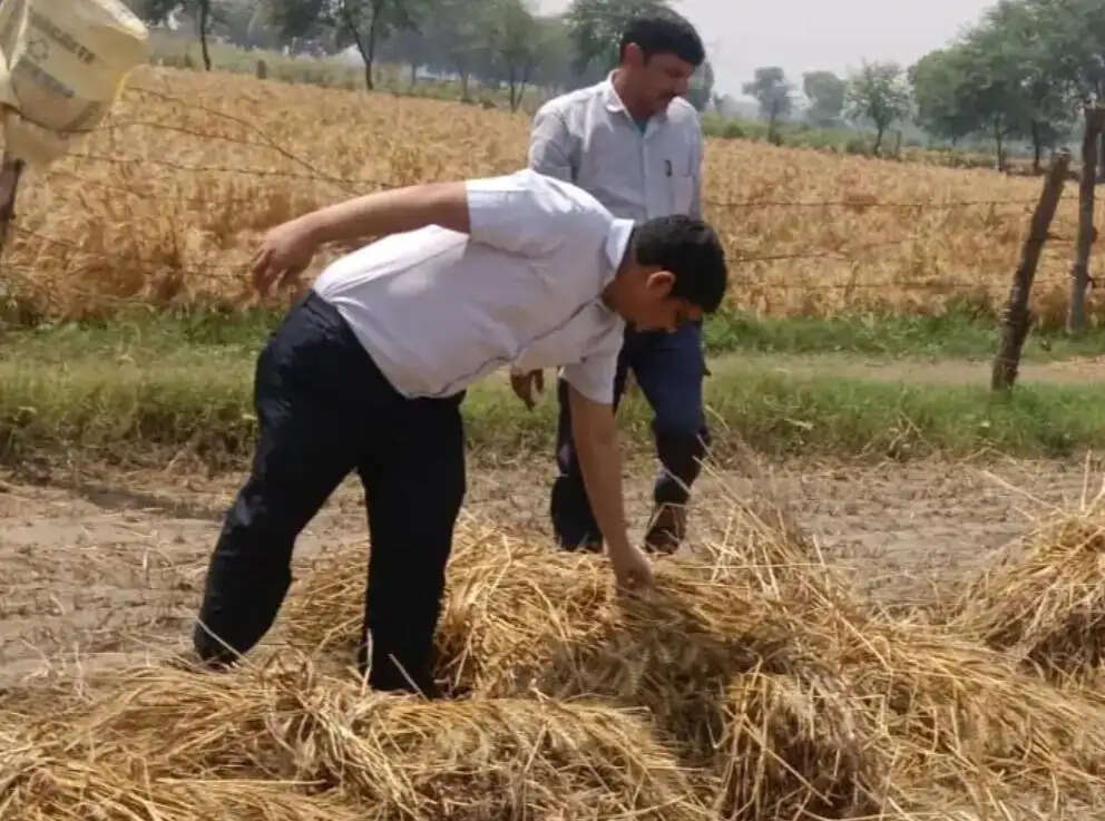 आंधी, बारिश के नुकसान का आंकलन करने पहुंचे एसडीएम