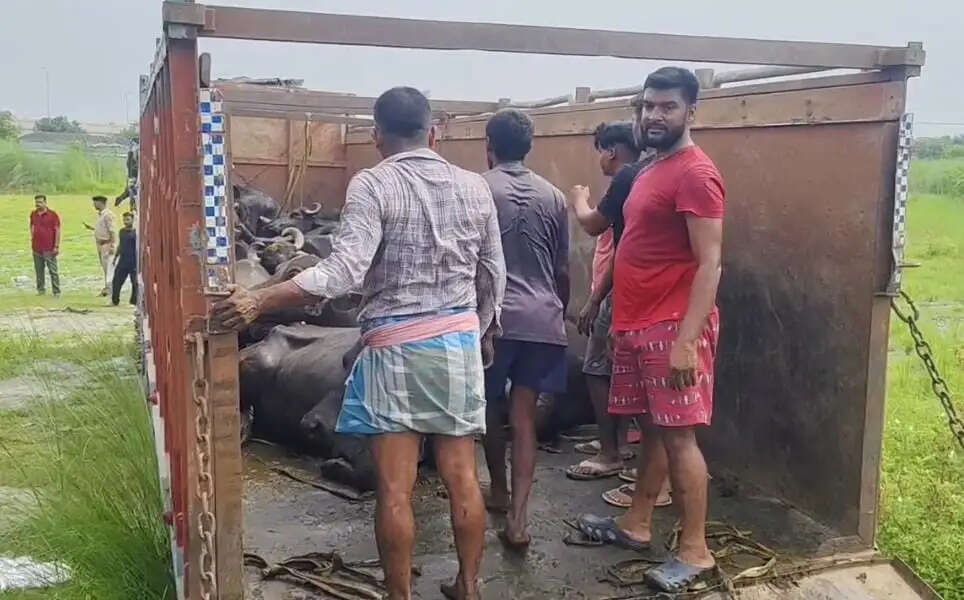 लापरवाही और संदिग्ध आचरण को लेकर सहायक अवर निरीक्षक निलंबित