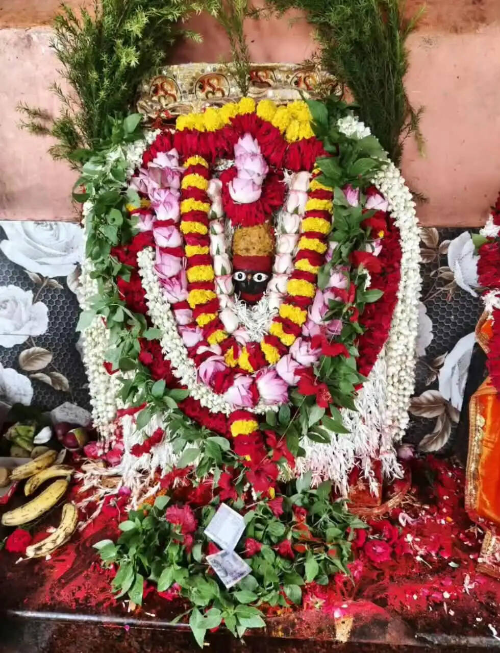ललही छठ पर विंध्य पर्वत पर उमड़ा आस्था का सैलाब, मां षष्टी के दर्शन को पहुंचे हजारों श्रद्धालु