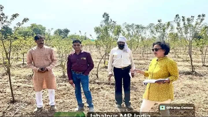 जबलपुरः जैविक प्रमाणीकरण की तरफ किसानों का बढ़ रहा रुझान