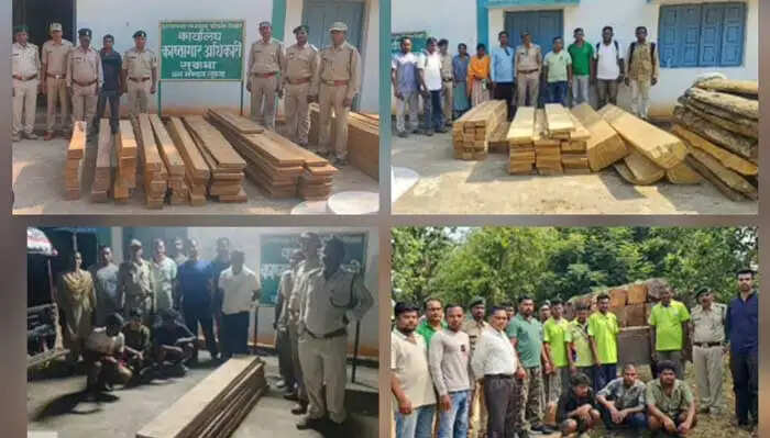 सुकमा वनमंडल में 06 वन अपराध मामलाें में आठ लाख के सागौन जब्त