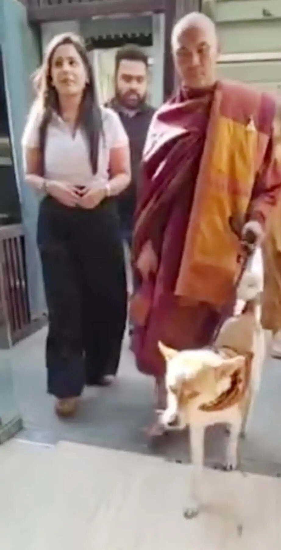 गुरुग्राम में शांतिदूत बनकर पहुंचा शांति डॉग आलोका